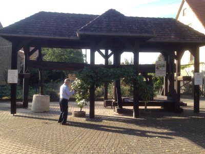 Old Grape Press For Making Wine