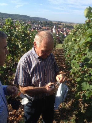 Dieter Velte testing sugar content of his grapes