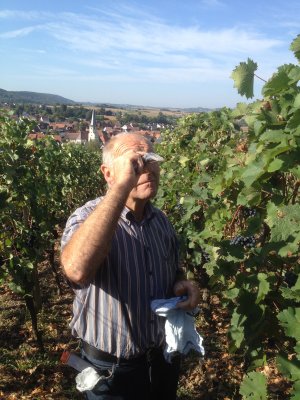 Dieter Velte testing sugar content of his grapes
