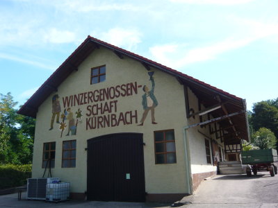Winzergenossenschaft Kürnbach