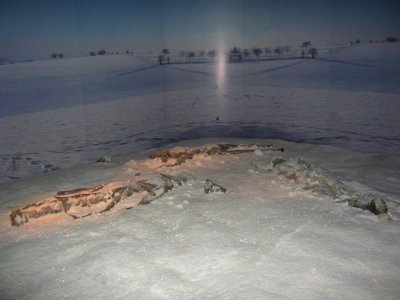 Victims Of The Malmédy Massacre