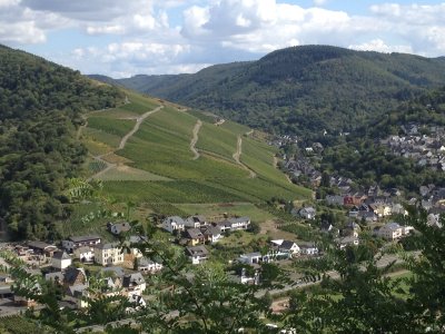 Vineyards Along The Mosel River