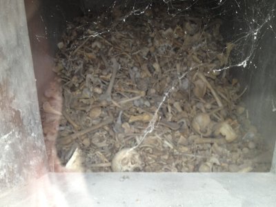 Remains Of Verdun Victims