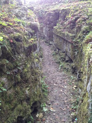 Trench At Vauquois