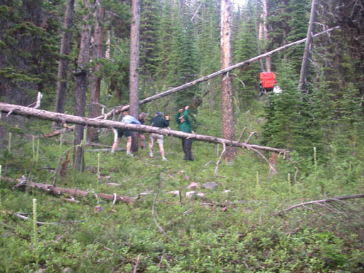 Hoisting backpack with food into a bear tree