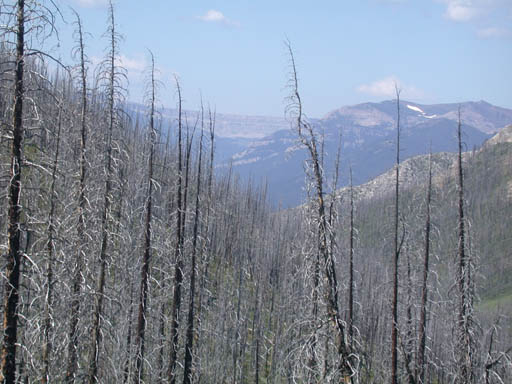 View from Headquarters Creek Trail