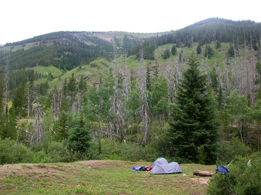 Moose Creek camp site
