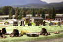View over the cemetery