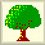 Tree Picture